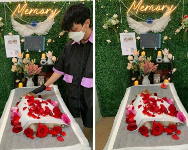 Hỏa táng thú cưng, chó mèo lò RIÊNG trọn tình trọn nghĩa