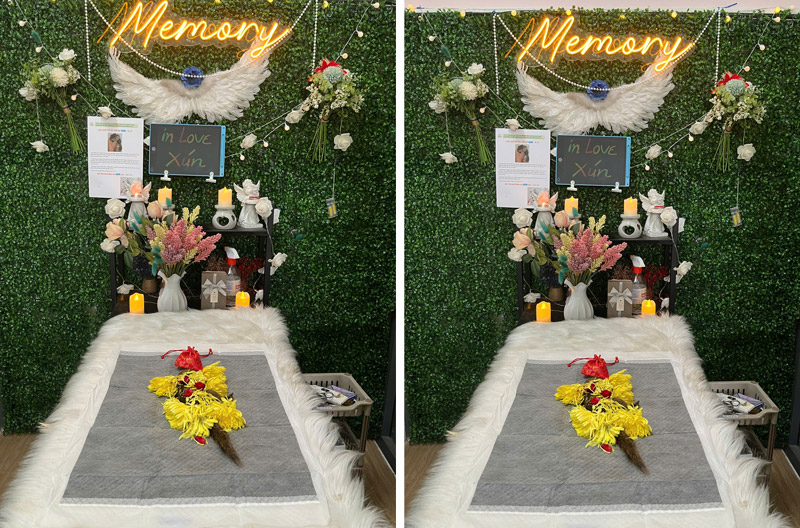 Giải đáp câu hỏi khi hỏa táng chó mèo