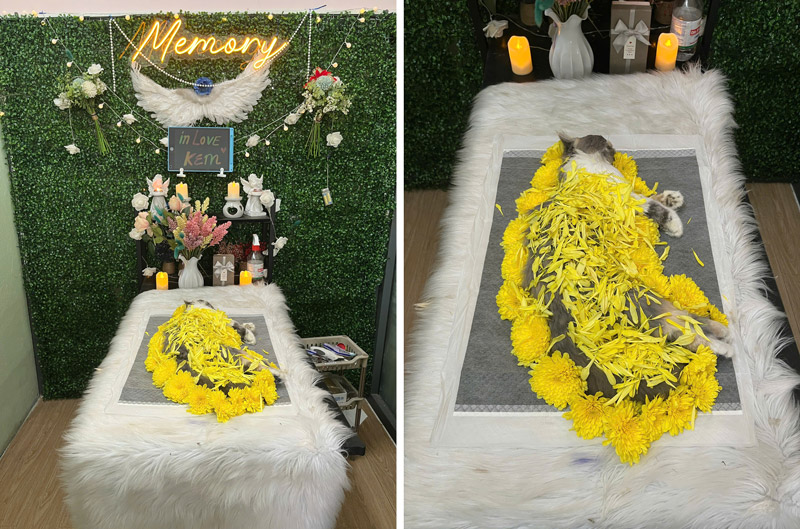 Các hình thức hỏa táng thú cưng hiện nay