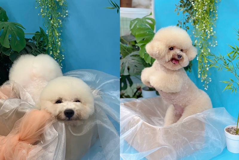 Spa uy tín tại Trum's nè