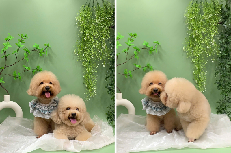 Gải đáp thắc mắc khách hàng